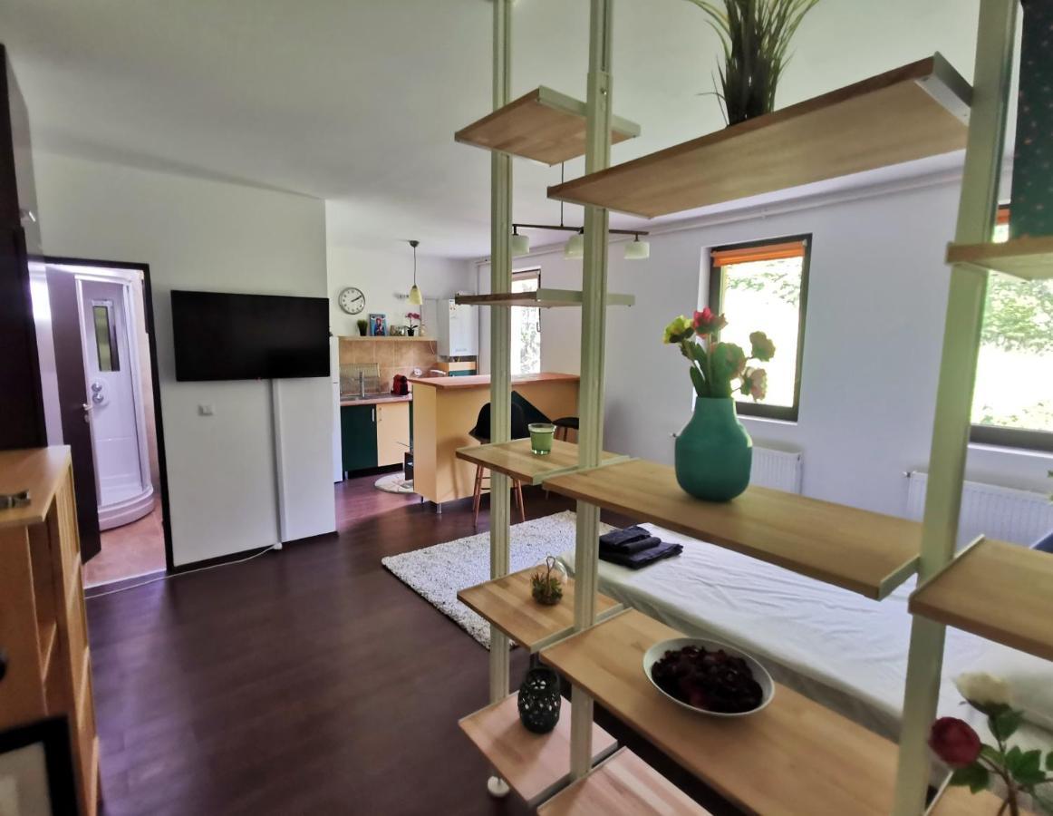Studio אזוגה מראה חיצוני תמונה